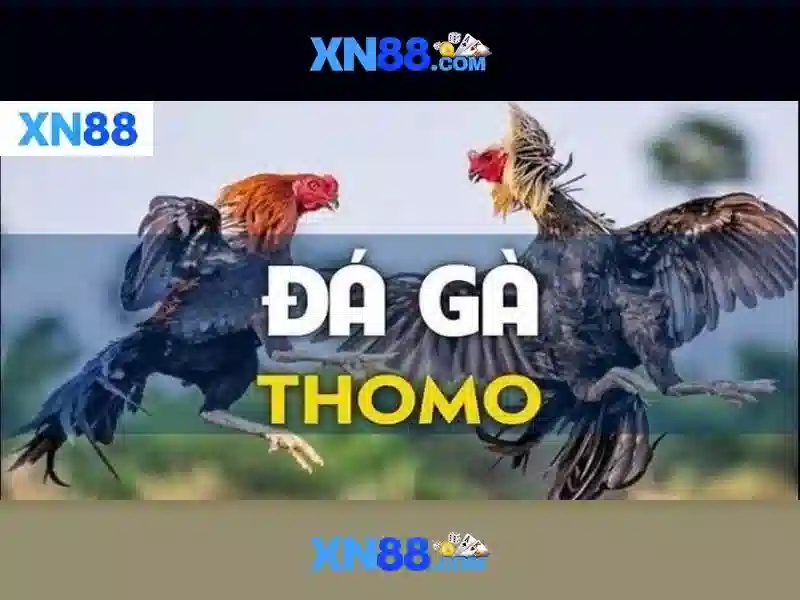 💎danh sam mien bac💎