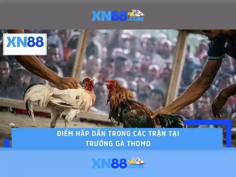 💎trang cá cược sv66💎