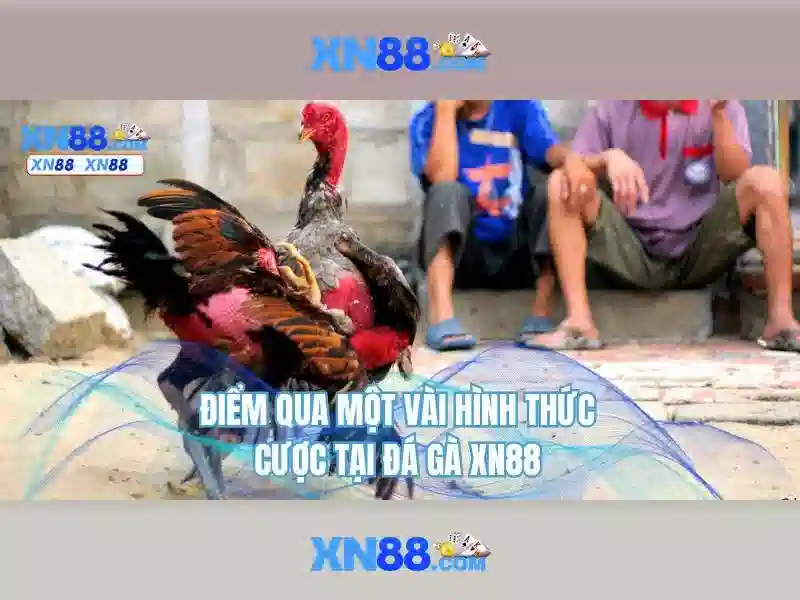 💎fb88 nhà cái hàng đầu châu âu💎