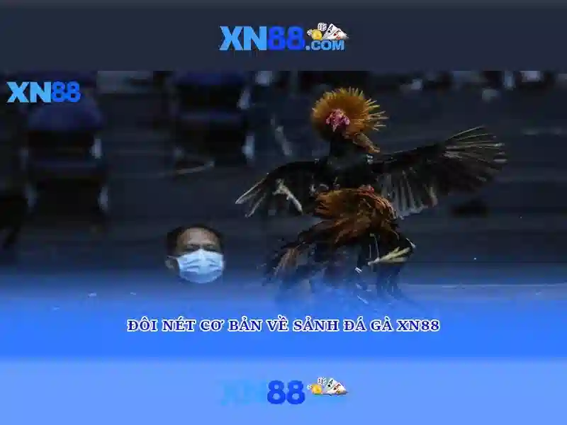 💎cai win tai nha hoang dao💎