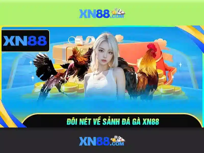 💎kèo của nhà cái💎