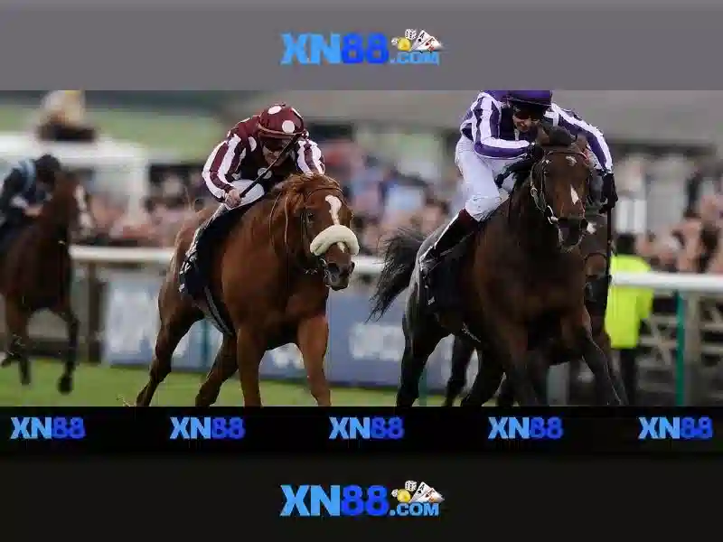 💎ty lê ca cuoc ma cao💎