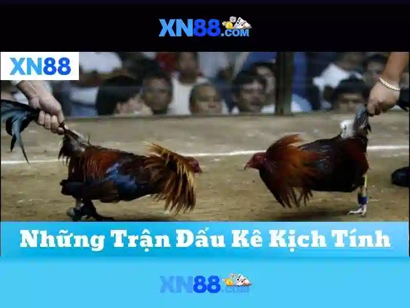 💎slot openen kaag💎