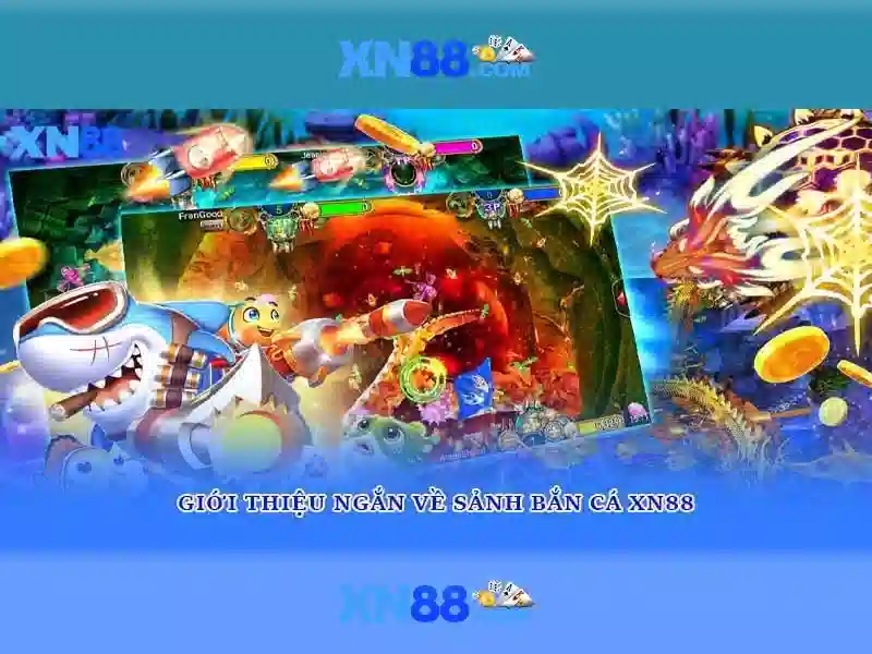 💎ca cuoc hop phap💎