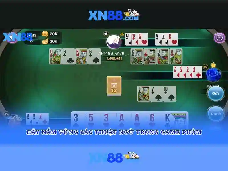 💎cuộc thi cua cà mau💎