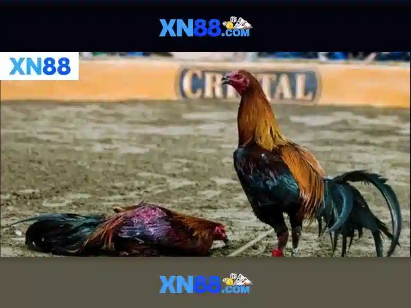 💎pg slot 888 login💎 - sa slot 888 - 888slot 888slot 888 slot login