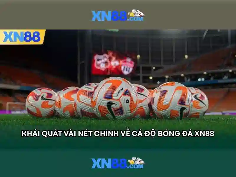 💎keo nha cai bet💎