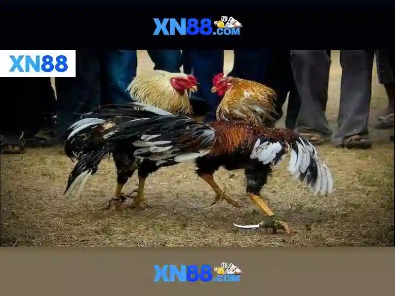 💎danh sách ban thường vụ tỉnh bắc ninh💎