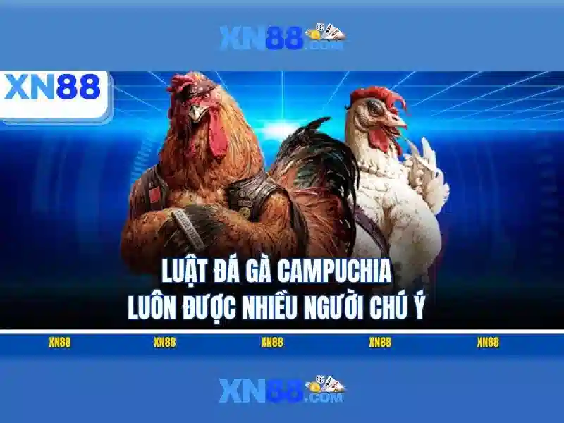 💎rút tiền nhà cái💎