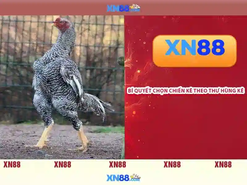 💎sv388 nhà cái đá gà uy tín top 1 châu á💎