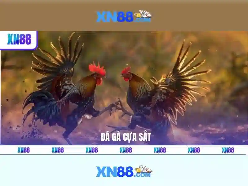 💎các cổng game nổ hũ💎