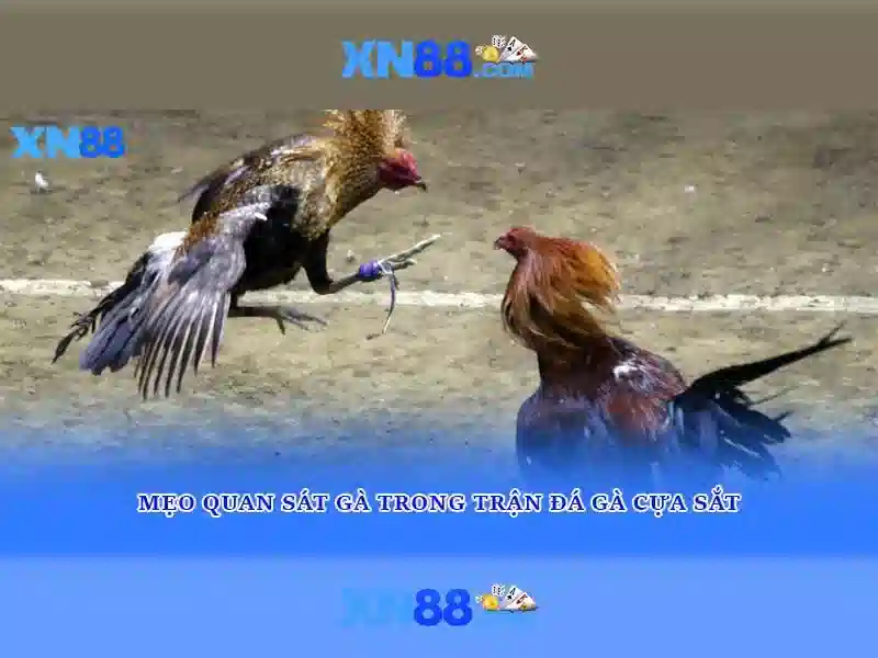 💎slot promo code💎