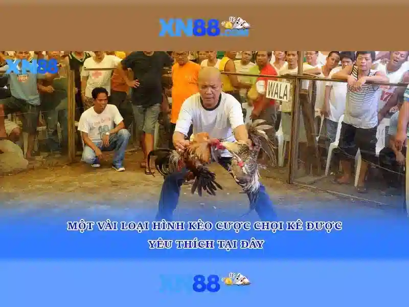 💎nhà cái tặng tiền trải nghiệm 2025💎