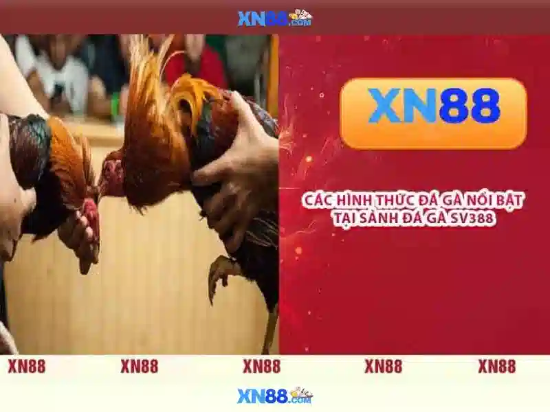 💎kèo nhà cái pháp hôm nay💎