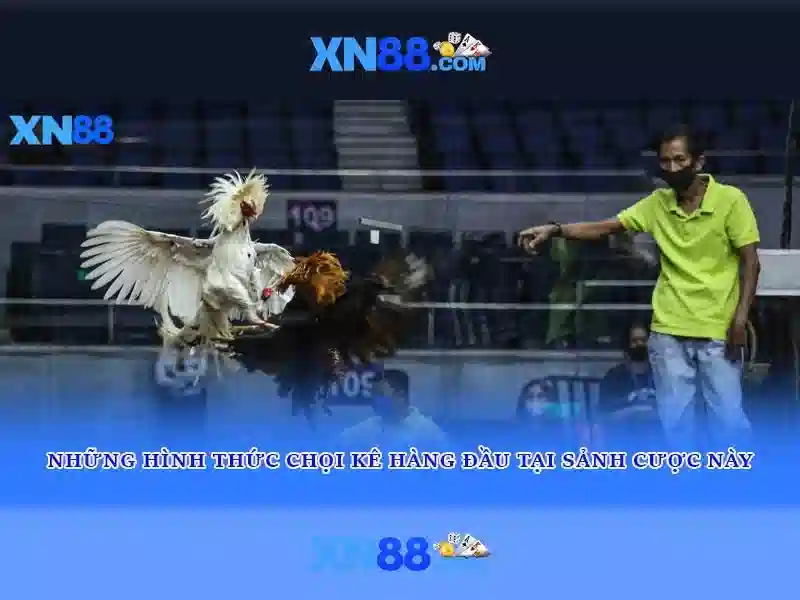 💎nhà xe lào cai bắc ninh💎