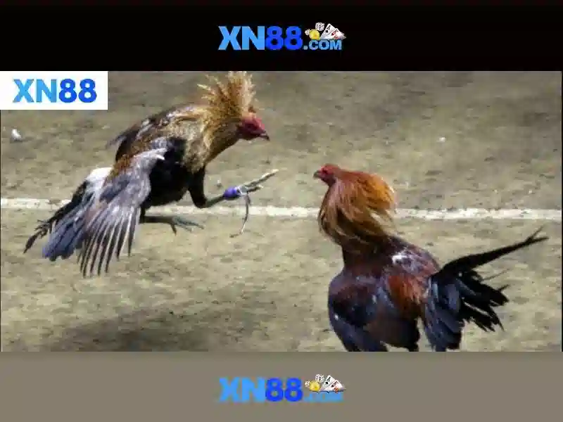 💎pop slots codes 2019💎