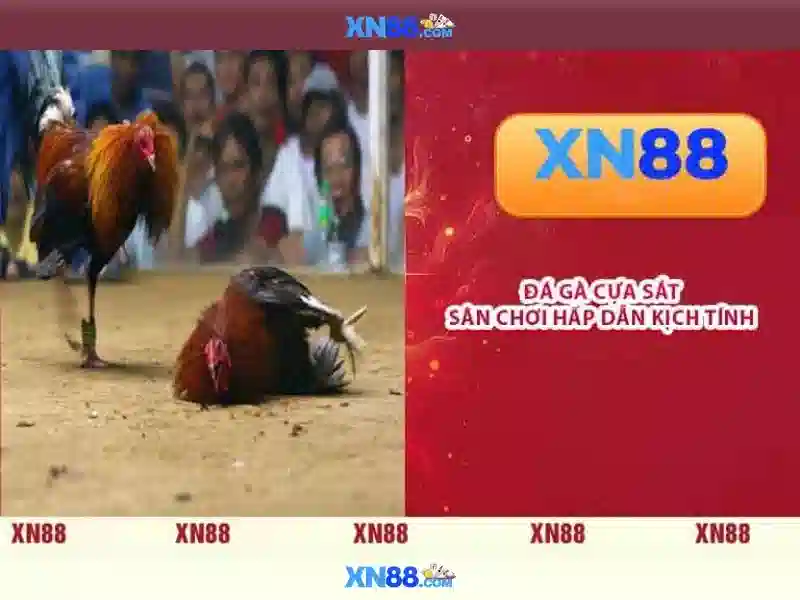 💎wild toro 2 slot💎