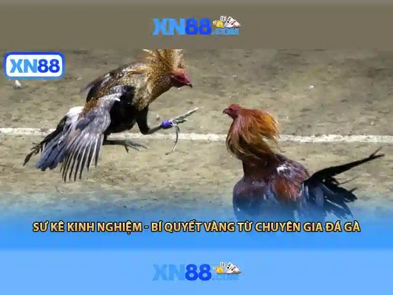 💎crazy hunter xn88💎