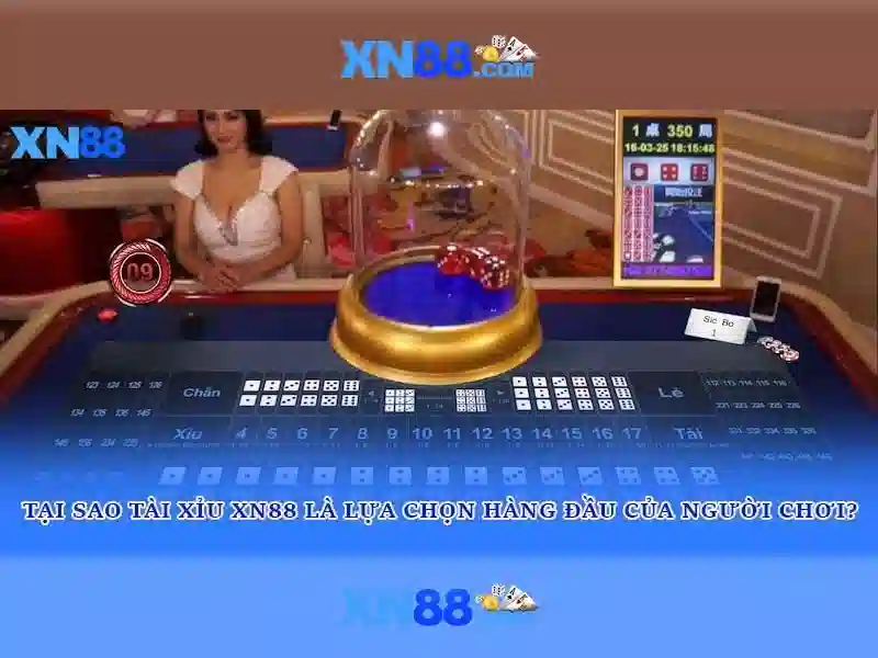 💎nhà cái winner💎