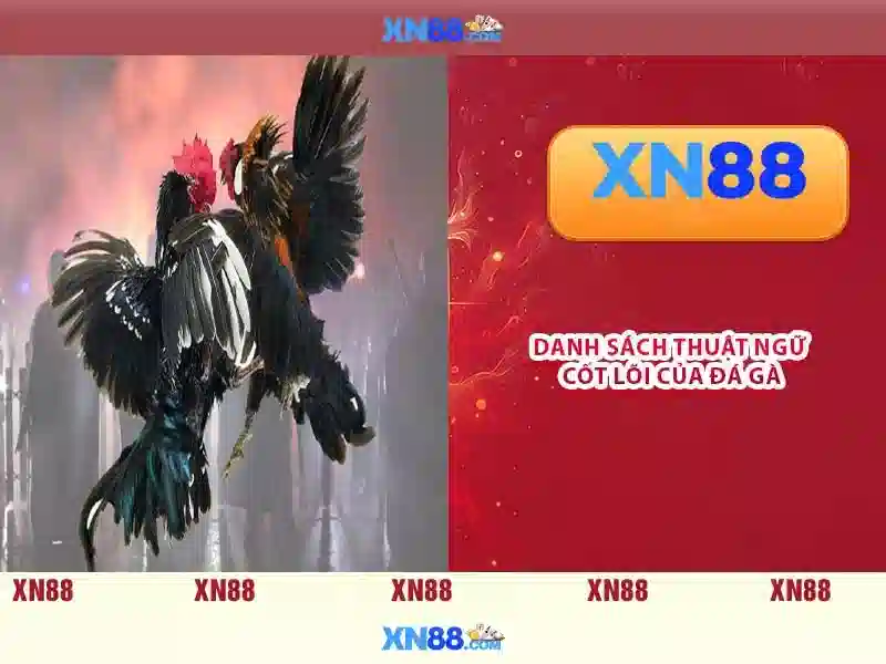 💎nohu nhà cái cá cược💎