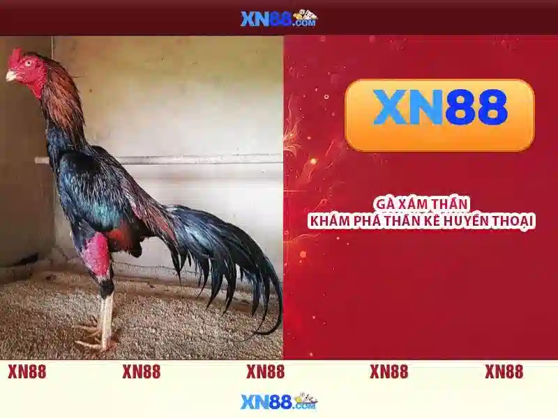 💎thương vụ bạc tỷ lịch phát sóng💎