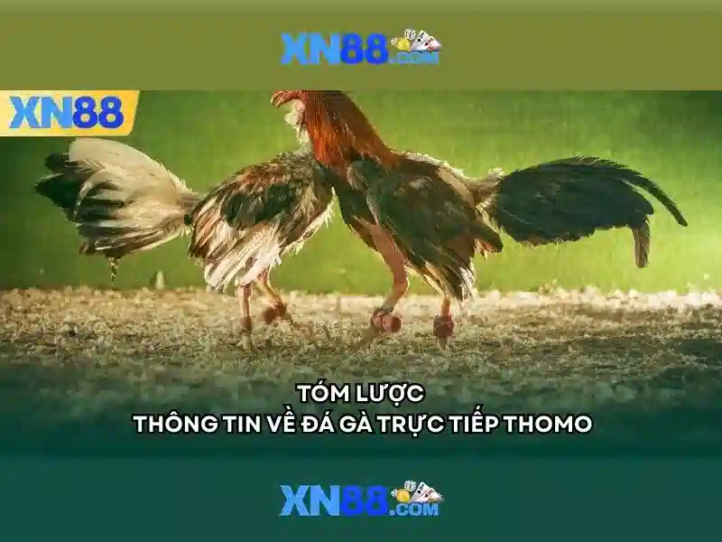 💎trang web cá cược bóng đá hợp pháp aufop💎