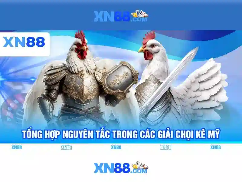 💎nhà cái hàng đầu💎