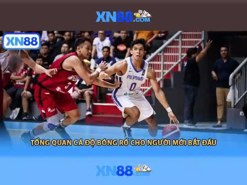 💎keo nha cai com truc tiep💎