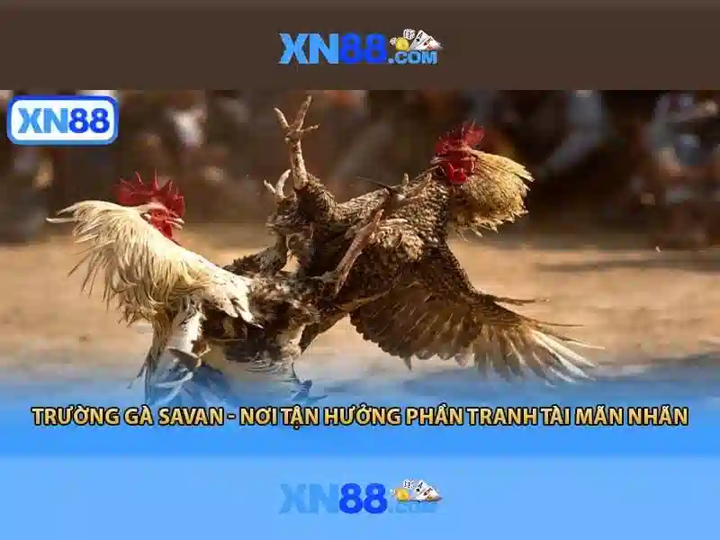 💎slots progressive jackpot💎