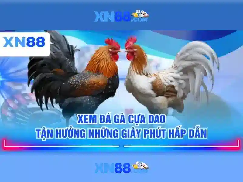 💎link vào nhà cái fun88💎