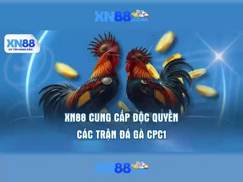 💎nhà cái đến từ châu bùi💎