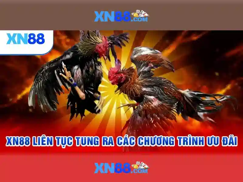 💎ca cuoc the thao m88💎 - nha cai m88 - nhà cái m88