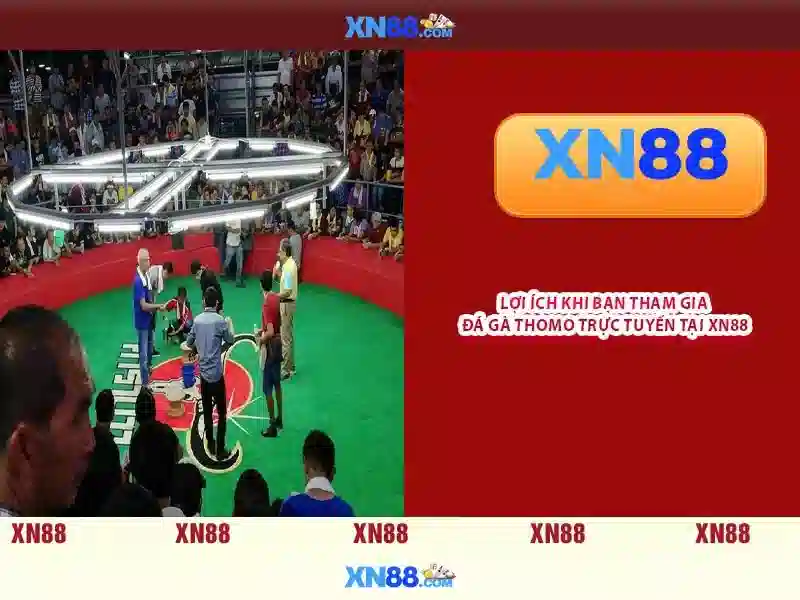 💎hb88 trading twitter💎