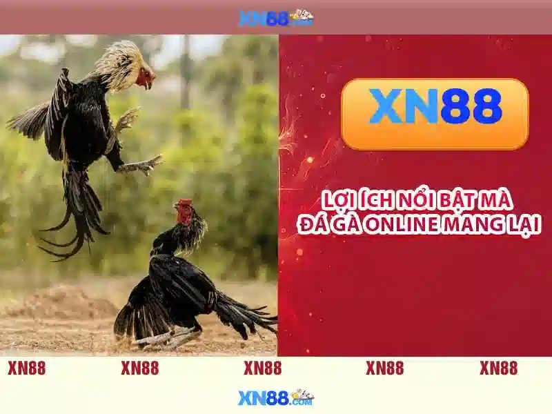 💎nha cai uy tin .com💎