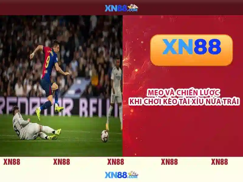 💎nhà cái bóng vip💎