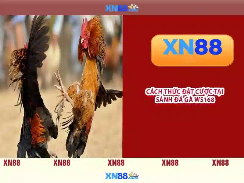 💎núi dành tân yên bắc giang💎