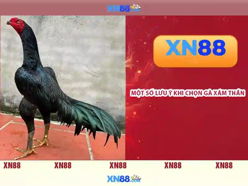 💎in die vorm een slot op maat crypto💎