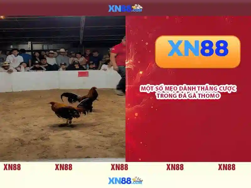 💎cá cược hợp pháp ở việt nam💎