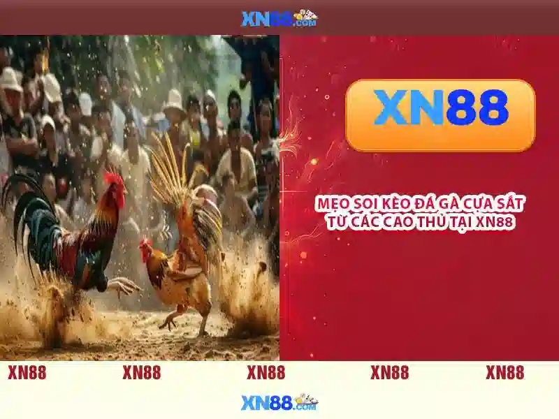 💎nhà cai uy tin vnz💎