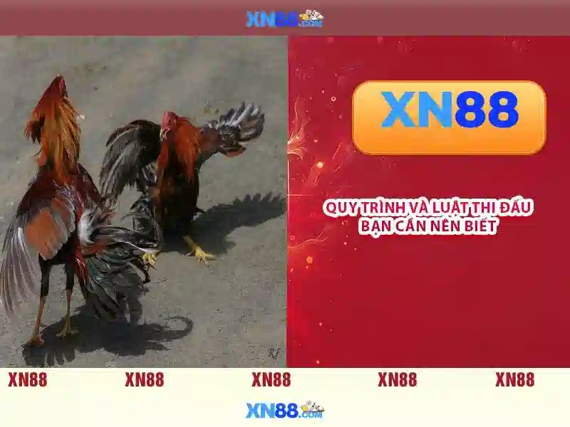 💎free slots deuces wild💎