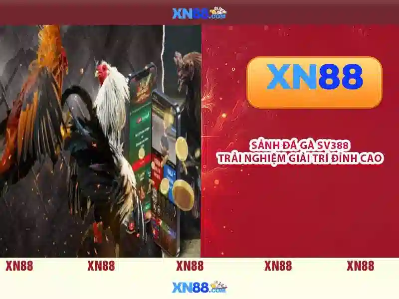 💎cược nhà cái💎