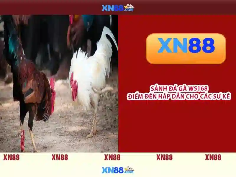 💎bóng đá trực tuyến trực tiếp kèo nhà cái💎