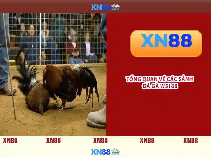 💎địa danh nào chỉ đúng quê hương bác hồ💎