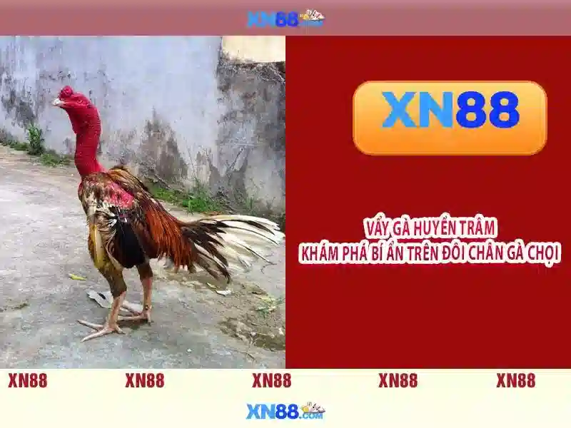 💎ty. le. keo. nha. cai💎