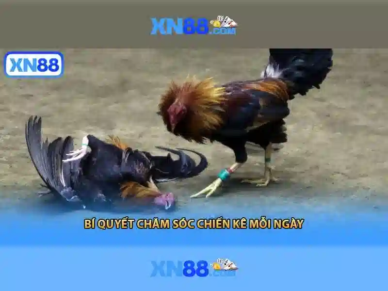 💎nhà cái xoso66💎 - nha cai xoso66