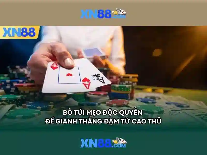 💎nhà cái số một.com💎