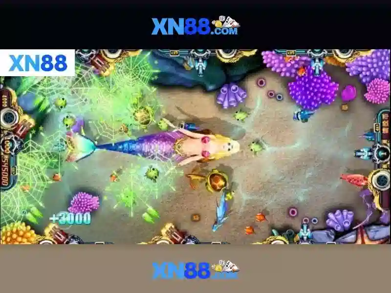 💎nhà thờ cái thia💎