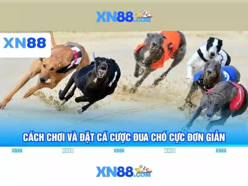 💎sòng bạc tân thành💎