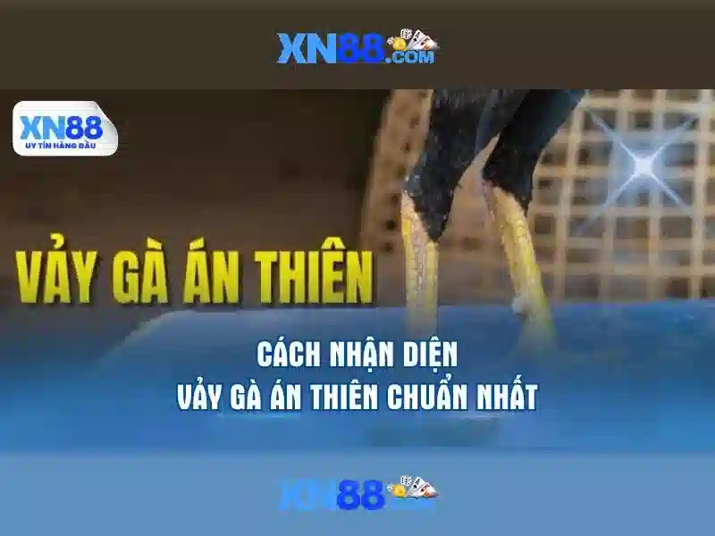 💎cái cửa nhà💎