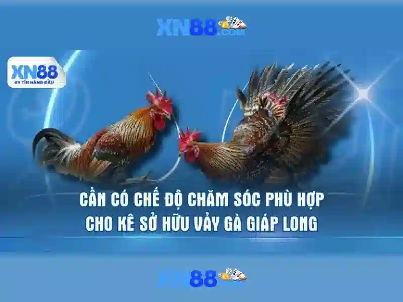 💎game xn88💎 - nổ hũ xn88 - xn88 bet